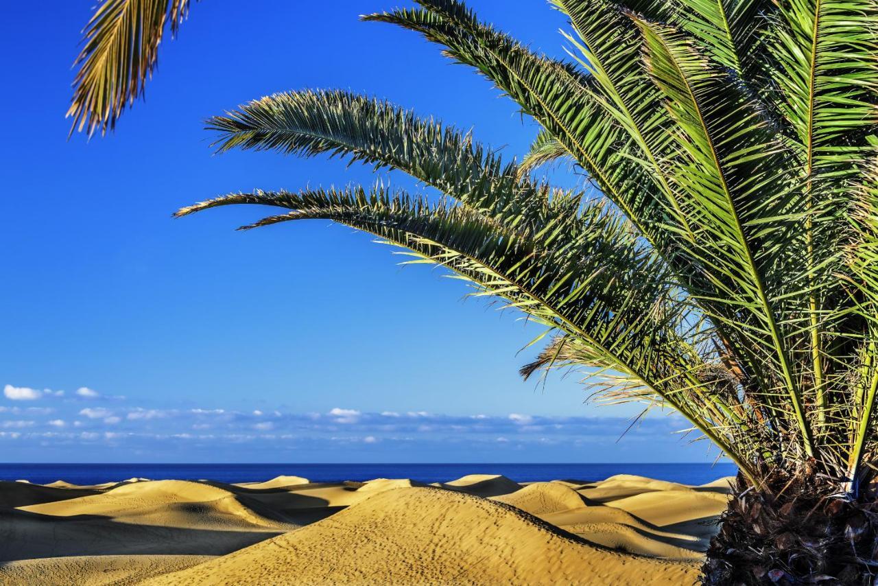 Las Adelfas South Beach 5 By Canariasgetaway San Bartolomé Esterno foto